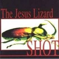 Shot
