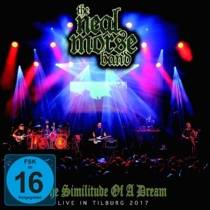 The Similitude of a Dream - Live in Tilburg 2017