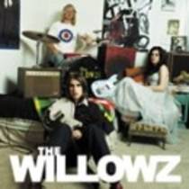 The Willowz Are Coming