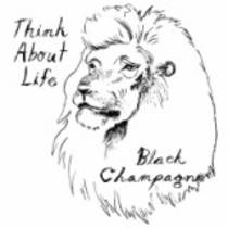 Black Champagne 12"