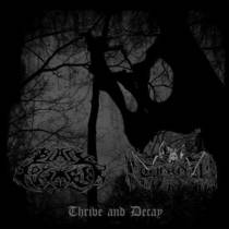 Thrive & Decay