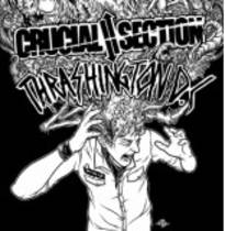 Split w/ Crucial Section