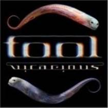 Vicarious (DVD)