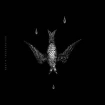 Post Tenebras Spero Lucem (avec N.K.R.T.)