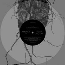Split avec Amenra
