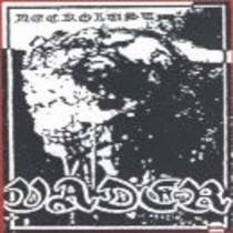 Necrolust