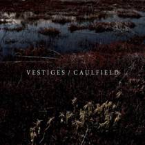 Vestiges / Caulfield Split