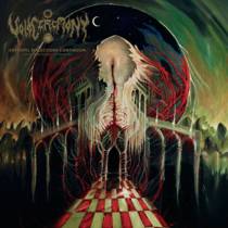 Entropic Reflections Continuum : Dimensional Unravel