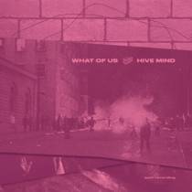 Split w/ Hive Mind