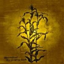 The Laughing Stalk