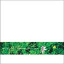 Fate Effects The Surface EP