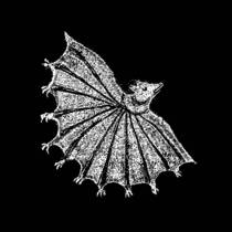Ignore